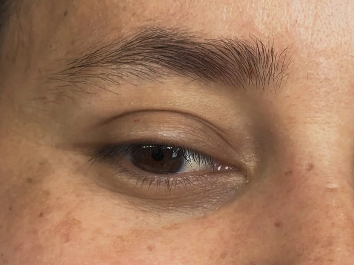 Powder Brows en West Palm Beach - Antes